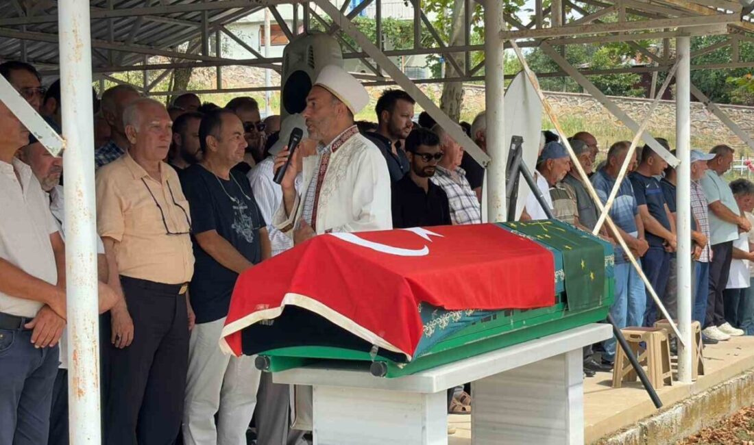 Sapanca Gölü'nde temizlik çalışmaları sırasında kalp krizi geçirerek hayatını kaybeden