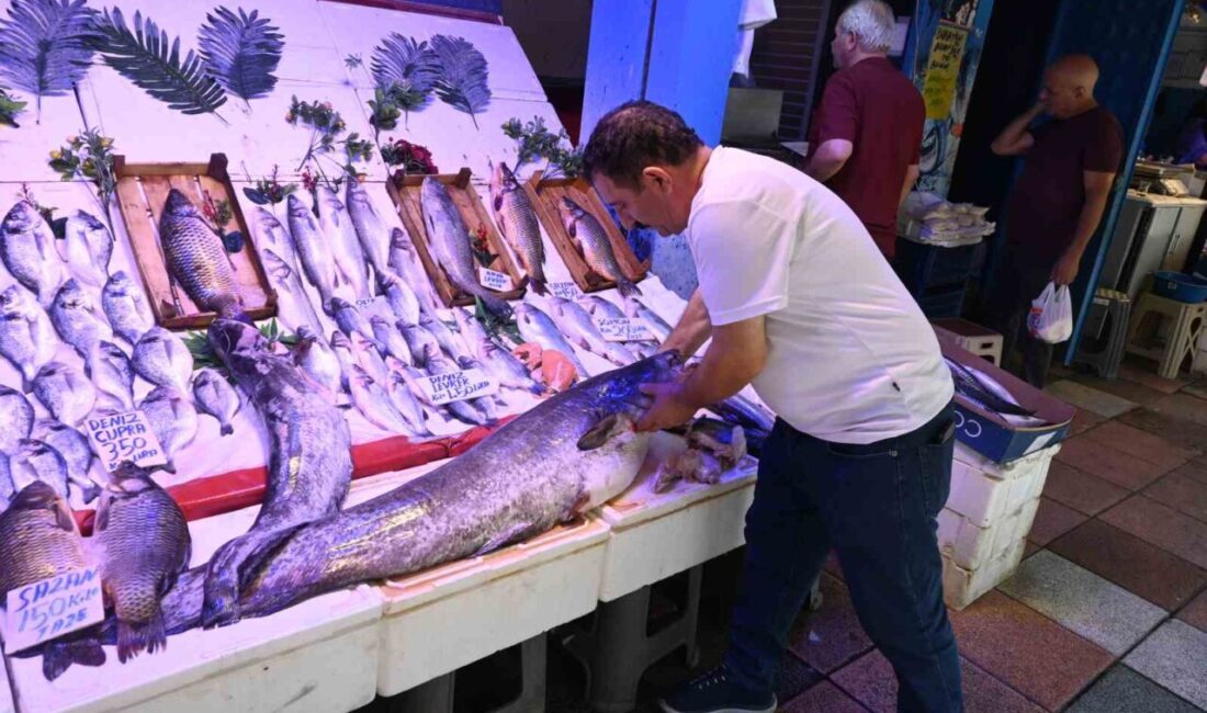 Eskişehir'deki bir balıkçı tezgahında sergilenen 40 kiloluk yayın balığı, Çıldır
