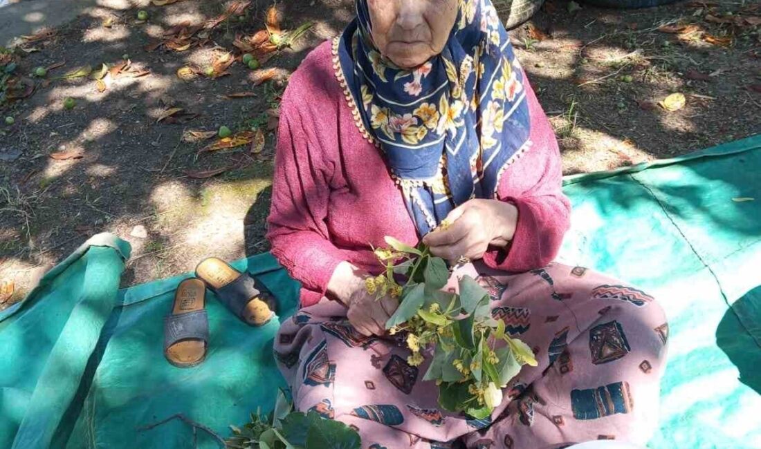 Düzce'nin Cumayeri ilçesindeki Üvezbeli köyünde 81 yaşındaki Ayşe Battal, evinden