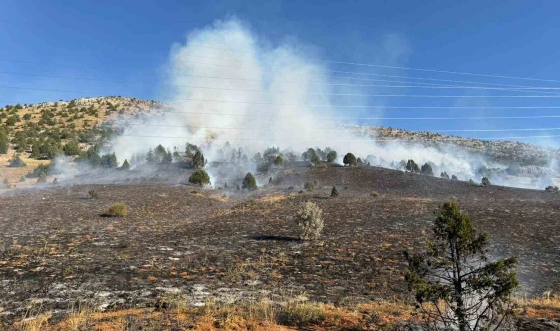 Adana'nın Tufanbeyli ilçesinde, Yamanlı Mahallesi'ndeki bir tarlada anız yangını ormana