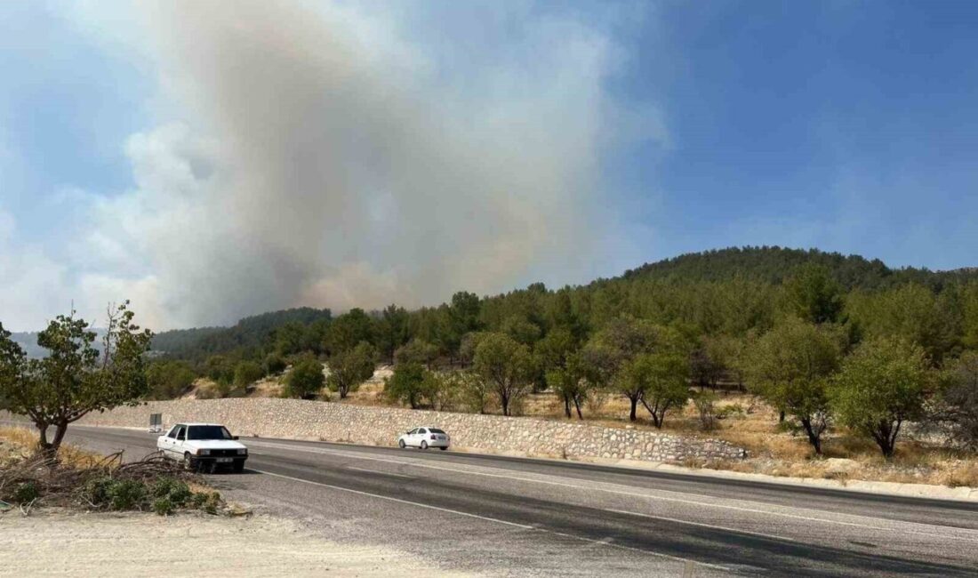 Adıyaman'ın Besni ilçesinde, Atmalı köyü yakınlarında çıkan orman yangını, Çamlıca