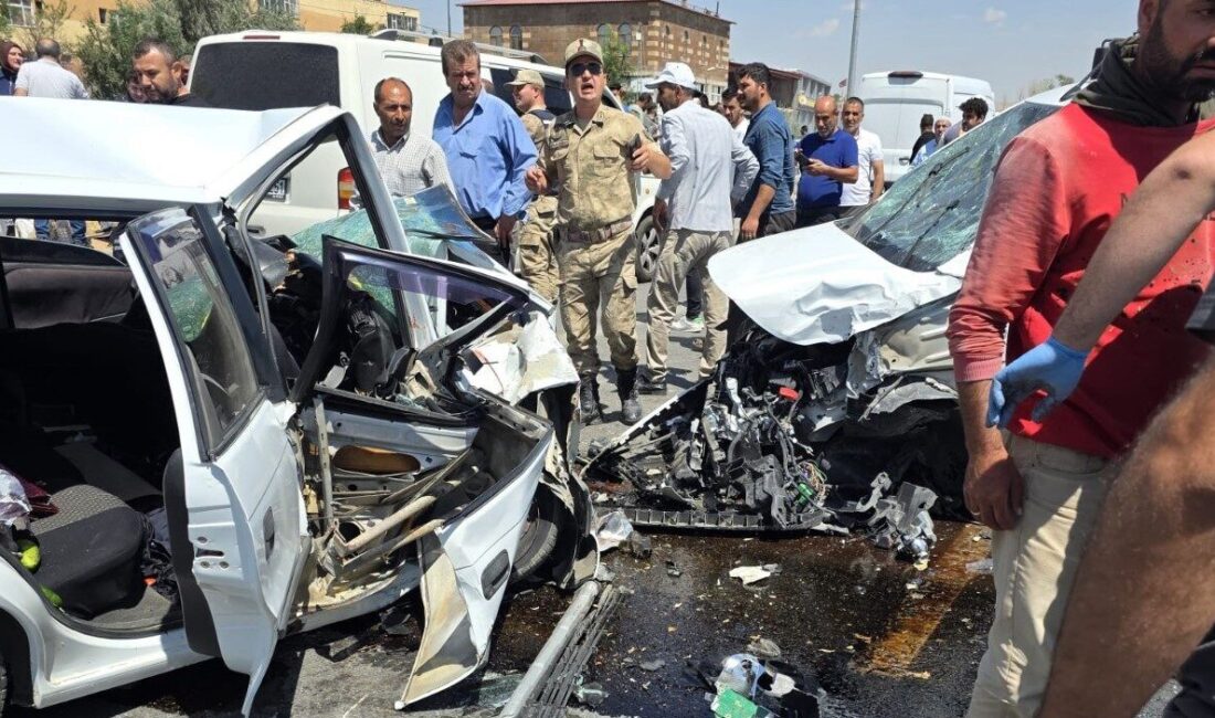 Bitlis'in Ahlat ilçesinde meydana gelen üç araçlı trafik kazasında, Mehmet