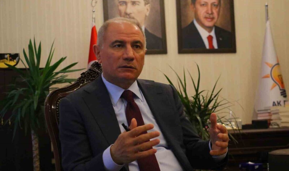 AK Parti Genel Başkan Vekili Efkan Âlâ, Türkiye’yi daha güçlü