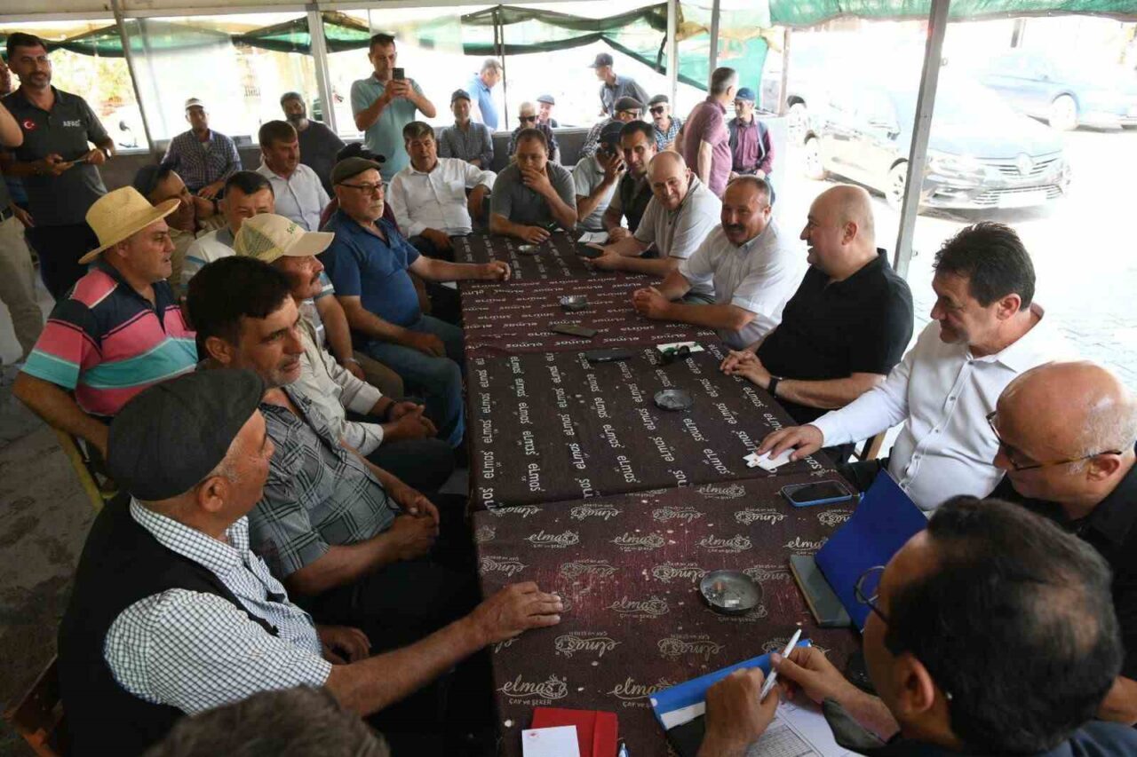 Çanakkale Ayvacık'taki Naldöken köyünde 15 Temmuz'da çıkan orman yangını sonrası