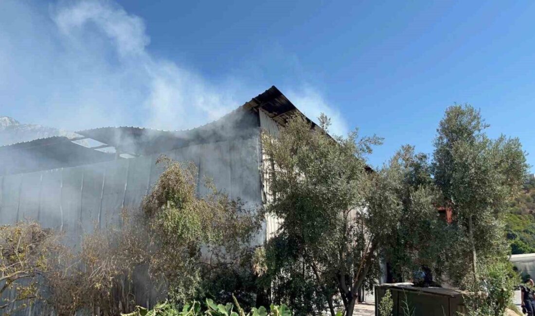 Alanya'nın Kestel Mahallesi'nde bir mobilya atölyesinde çıkan yangın, elektrik kablolarındaki