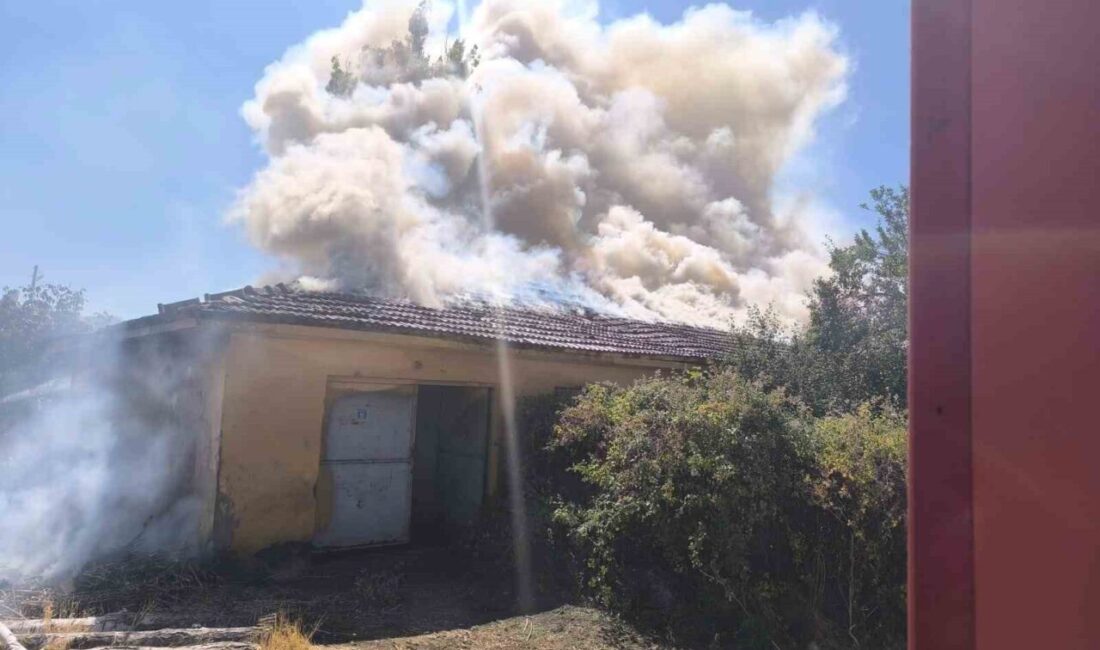 Çorum'un Sungurlu ilçesindeki Salman köyünde tarlada çıkan yangın, yanındaki tohum