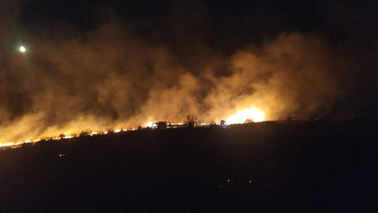 İzmir'in Aliağa ilçesinde, Kalabak ve Çoraklar Mahalleleri arasındaki otluk alanda
