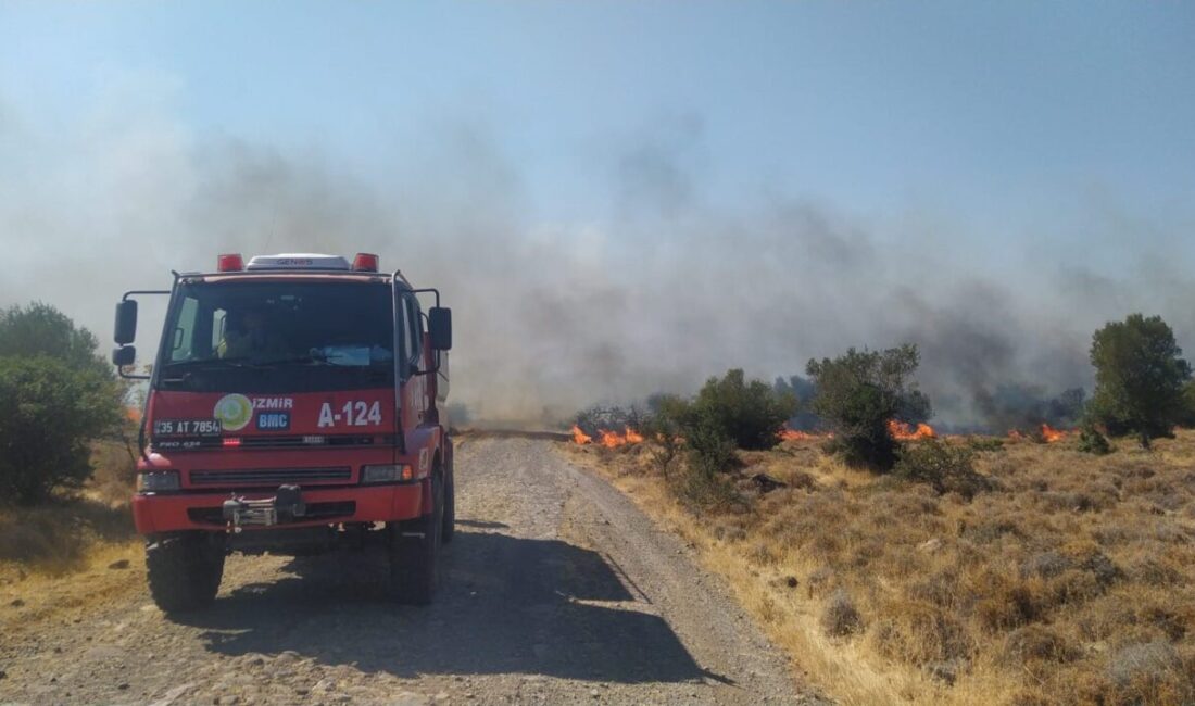 İzmir’in Aliağa ilçesinde, Çoraklar Mahallesi'ndeki otluk alanda çıkan yangına İzmir