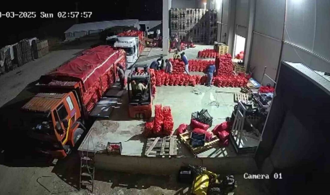 Amasya’da bu yıl rekor düzeyde 500 bin ton coğrafi işaretli