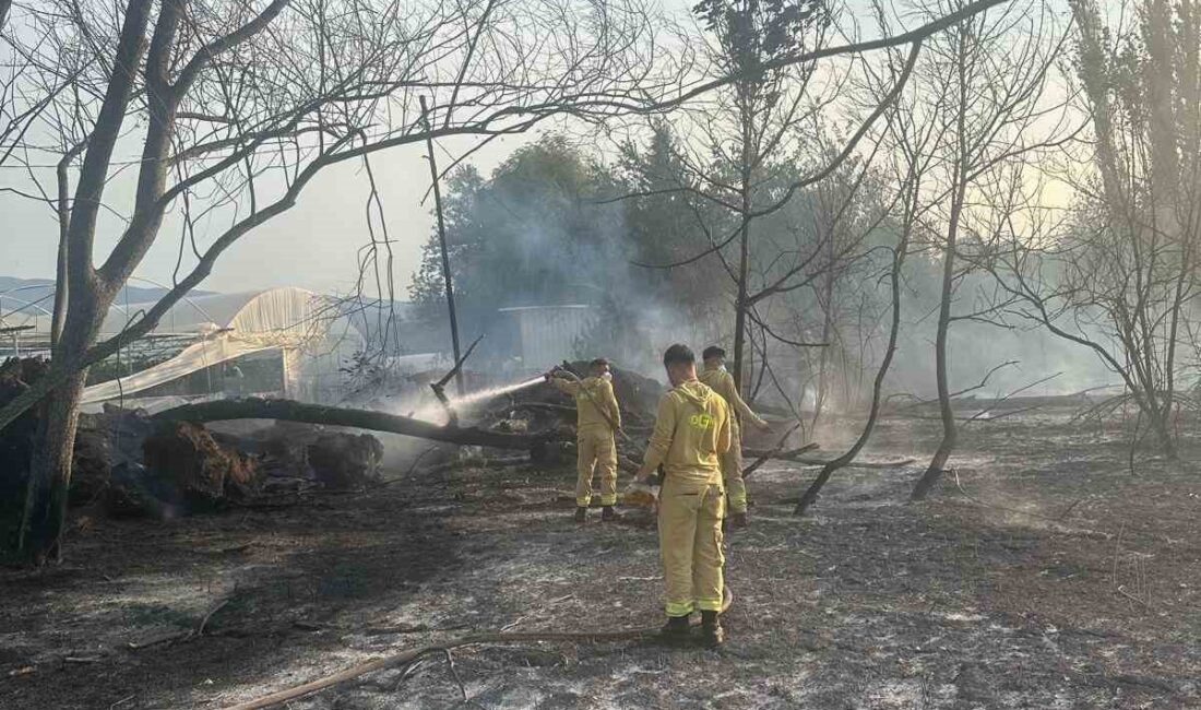 Eskişehir'in Sarıcakaya ilçesinde Düzköy mahallesinde çıkan anız yangını, itfaiye ekiplerinin