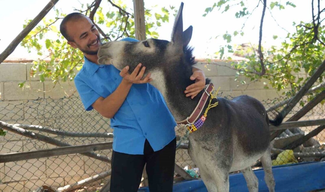 Gaziantep'te yaşayan 24 yaşındaki Ömer Sezgin, annesi ölen yavru eşeği