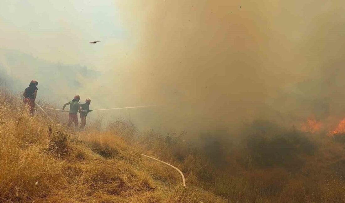 Arnavutluk’taki orman yangınlarında bir kişi yaşamını yitirirken, sekiz kişi yaralandı.