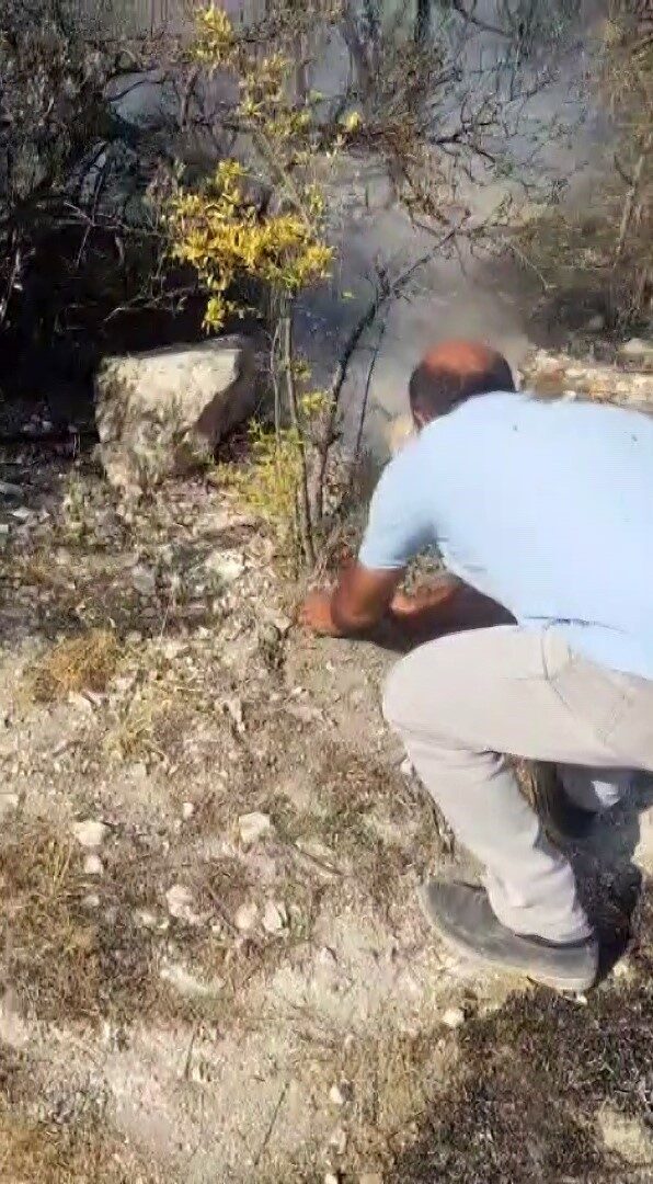 Hatay’ın Yayladağı ilçesinde çıkan orman yangını, Muhtar Murat Uylaş ve