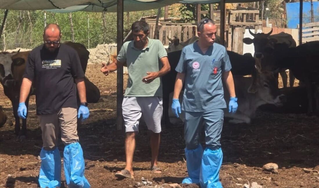 Aydın İl Tarım ve Orman Müdürlüğü, 17 ilçede 509 bin