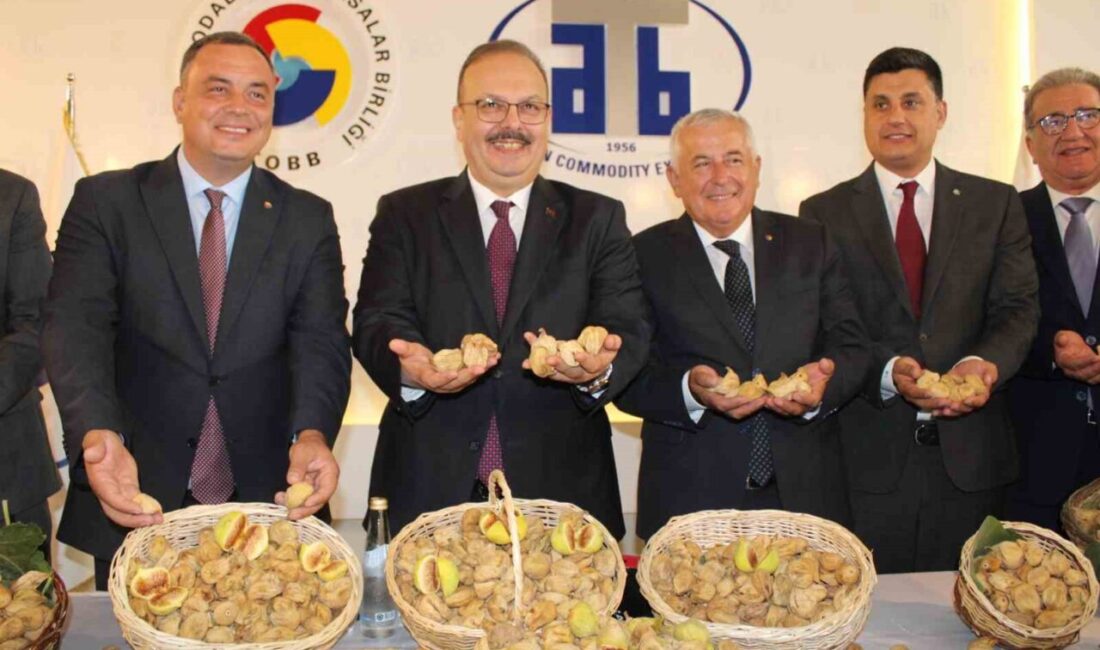 Aydın'da ilk kuru incir, 800 TL'den Aydın Ticaret Borsası'na teslim
