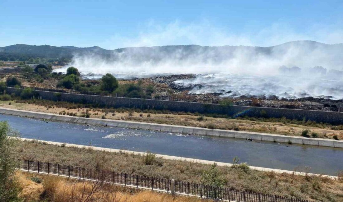 Çanakkale’nin Ayvacık ilçesinde çöplükte başlayıp ormana sıçrayan yangın, Orman Bölge
