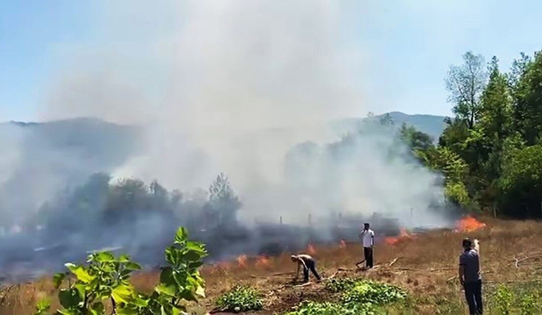 Karabük'ün Yenice ilçesine bağlı Yortan beldesinde bahçede çıkan ot yangını,