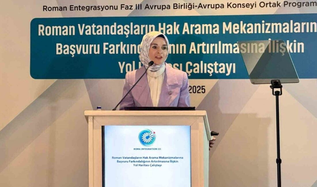 Aile ve Sosyal Hizmetler Bakanı Mahinur Özdemir Göktaş, Roman vatandaşların