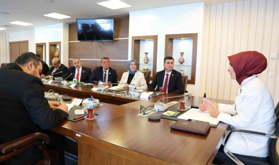 Aile ve Sosyal Hizmetler Bakanı Mahinur Özdemir Göktaş, şehit yakınları