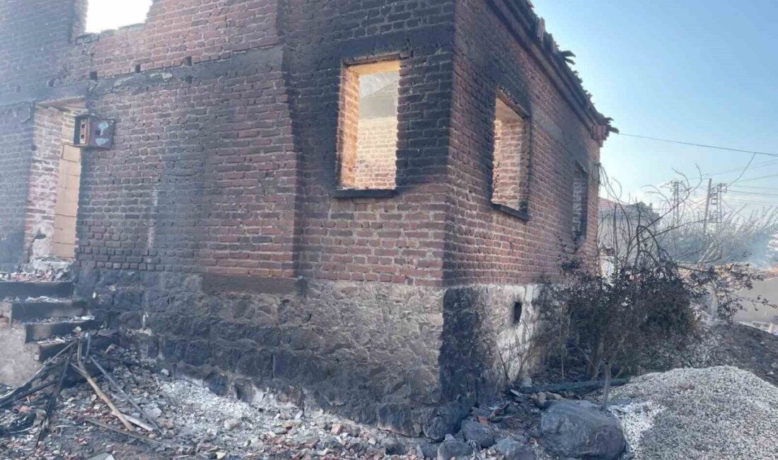 Çanakkale’nin Bayramiç ilçesinde çıkan yangın sonrası hasar tespit çalışmaları başladı.