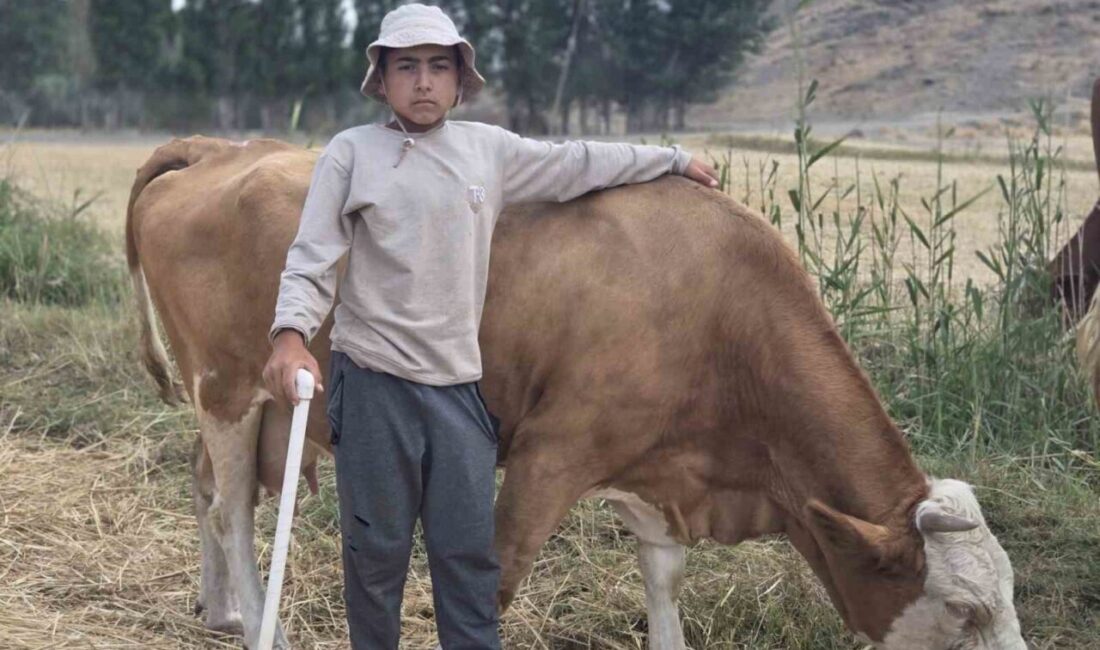 Yozgat'ın Sorgun ilçesindeki Araplı kasabasında yaşayan 12 yaşındaki Alperen Atıl,