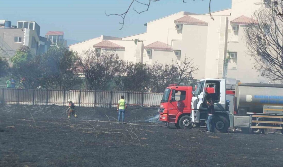 Balıkesir'in Burhaniye ilçesindeki Ören sahilinde çıkan ot yangını, rüzgarın etkisiyle