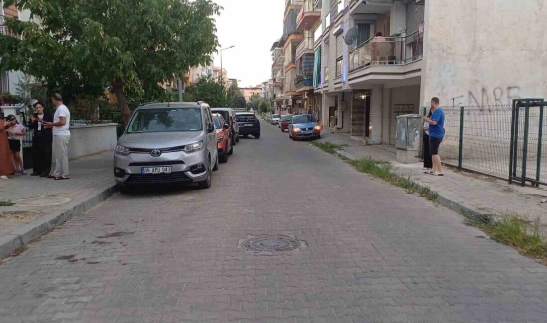 Balıkesir'in Sındırgı ilçesinde meydana gelen 6.1 büyüklüğündeki deprem, Aydın'da da