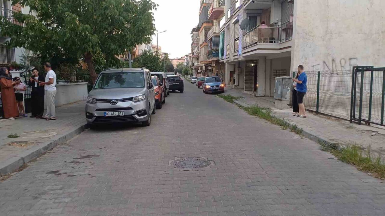 Balıkesir'in Sındırgı ilçesinde meydana gelen 6.1 büyüklüğündeki deprem, Aydın'da da