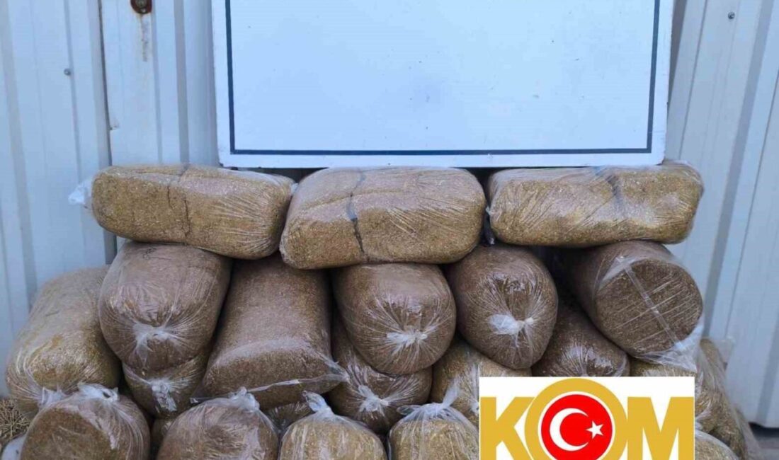 Balıkesir İl Emniyet Müdürlüğü'nün Bandırma KOM ekipleri, kaçakçılıkla mücadele kapsamında