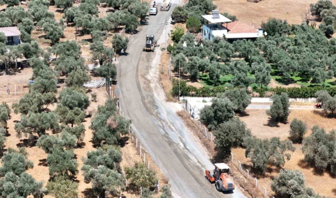 Aydın Büyükşehir Belediyesi, kırsal alanlarda ulaşımı geliştirmek adına Umurlu, Çayyüzü