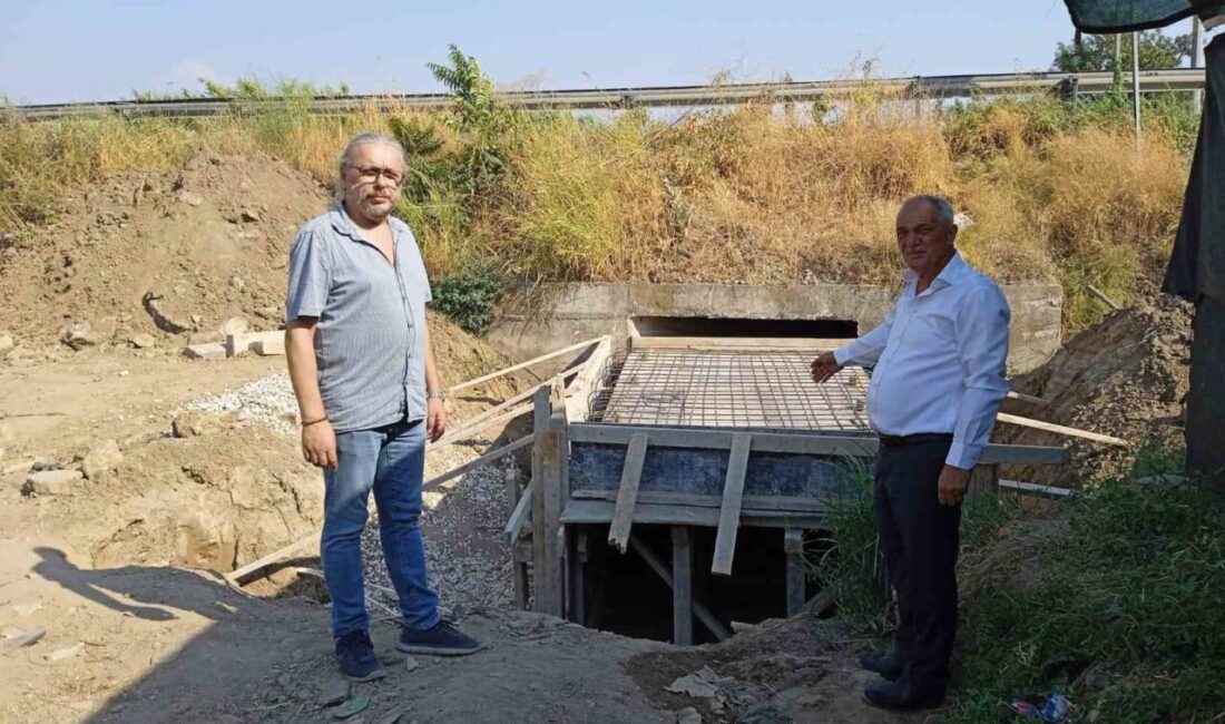 Aydın'ın Sultanhisar ilçesindeki Kabaca Mahallesi'nde, devlet karayoluna yakın servis yolundaki