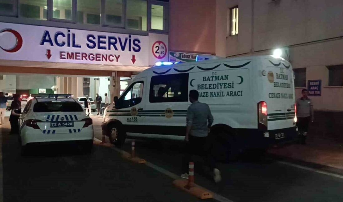 Batman-Beşiri kara yolunda, 3 yaşındaki Ali İmran Barış, annesinin elinden