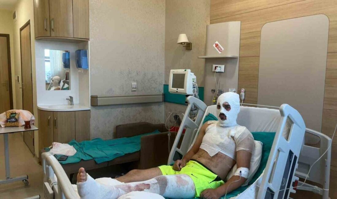 Bayburt'un Kop köyünde 22 yaşındaki Yunus Ağbal, ot toplarken Bayburt