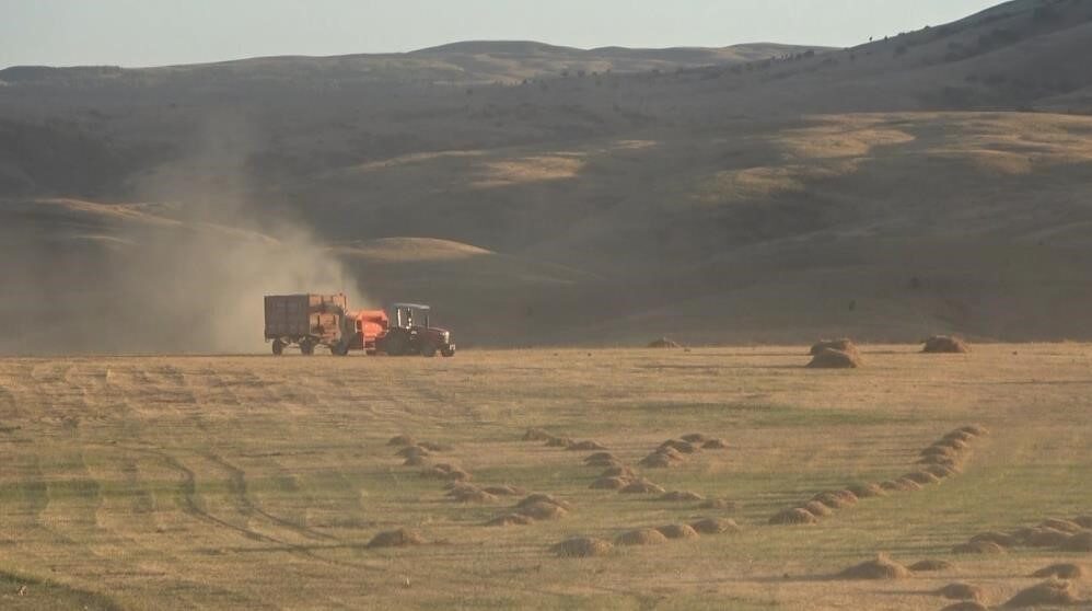 Bayburt'un Çayırköprü köyünde çiftçi İmdat Sancar'ın 194 balya otu, 55-60