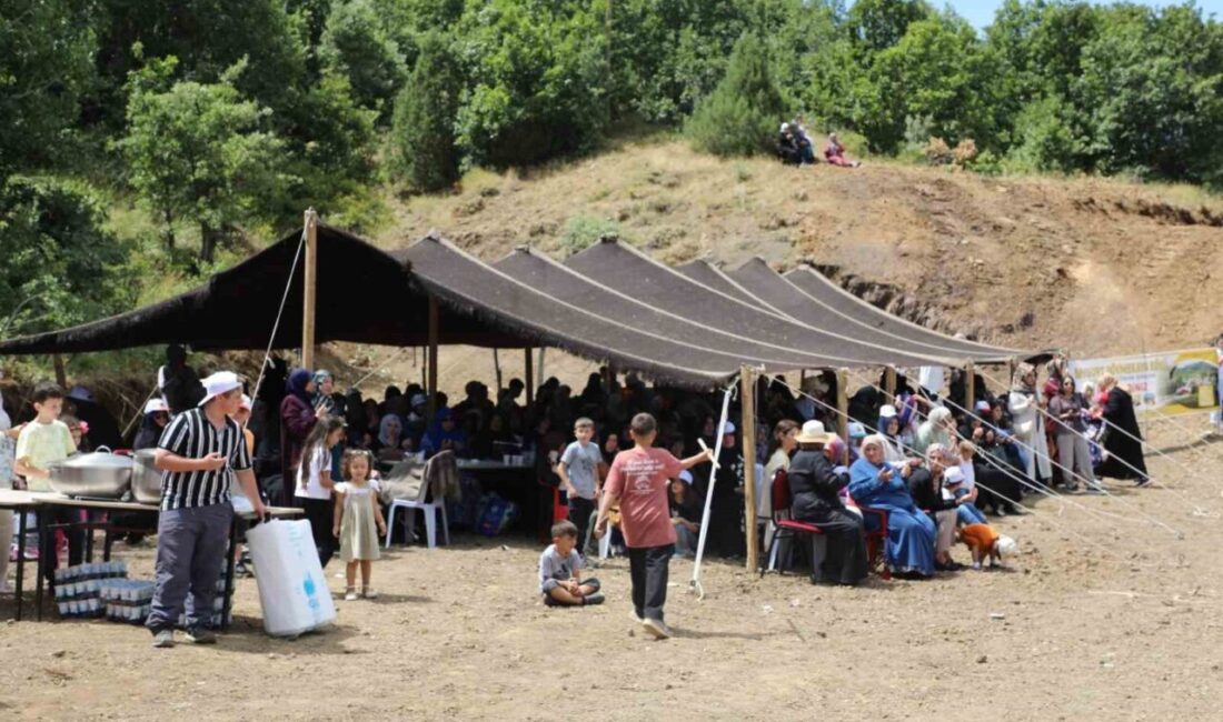 Bayburt'un Dövmekaya köyünde gerçekleştirilen 'Dövmekaya Köyü 1. Piknik Şöleni', yerel