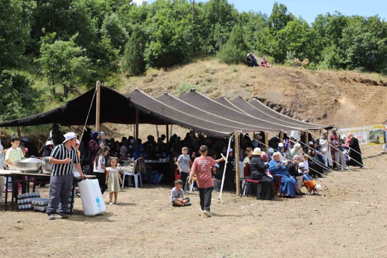 Bayburt'un Dövmekaya köyünde gerçekleştirilen 'Dövmekaya Köyü 1. Piknik Şöleni', yerel