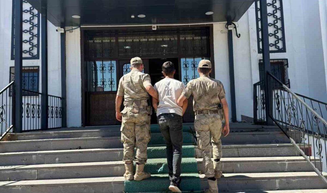 Bingöl'de jandarma ekipleri, kasten öldürme suçundan 5 yıl 10 ay