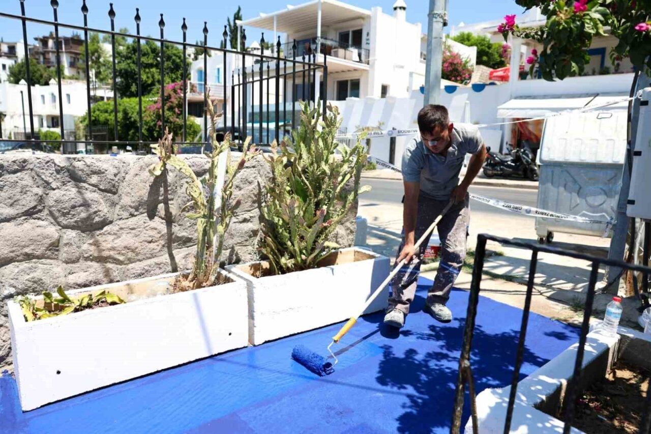 Bodrum Belediyesi, "Farkındalık Sokakları" projesi çerçevesinde kentin estetiğini artırmayı amaçlıyor.