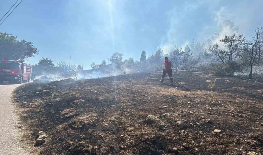 Bolu'nun Alpagut Mahallesi'nde çıkan çalı yangını evlere sıçramadan kontrol altına