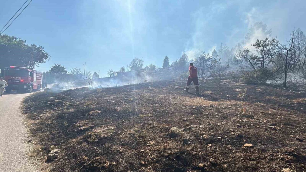 Bolu'nun Alpagut Mahallesi'nde çıkan çalı yangını evlere sıçramadan kontrol altına