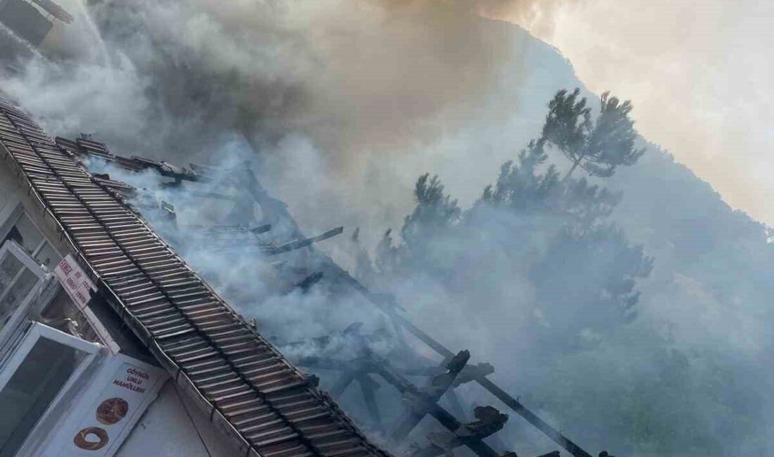 Bolu'nun Göynük ilçesinde, Ceren D.'ye ait bir ekmek fırınında çıkan