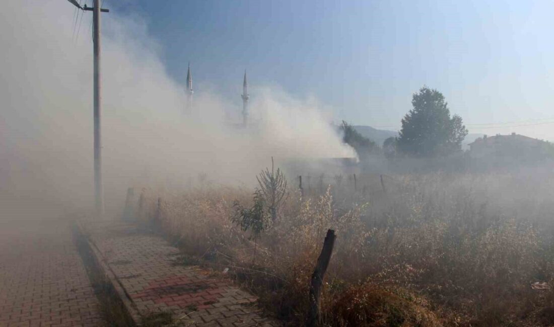 Bolu'da Çıkınlar Mahallesi'ndeki bir hurda deposunda çıkan yangın, anında gökyüzünü
