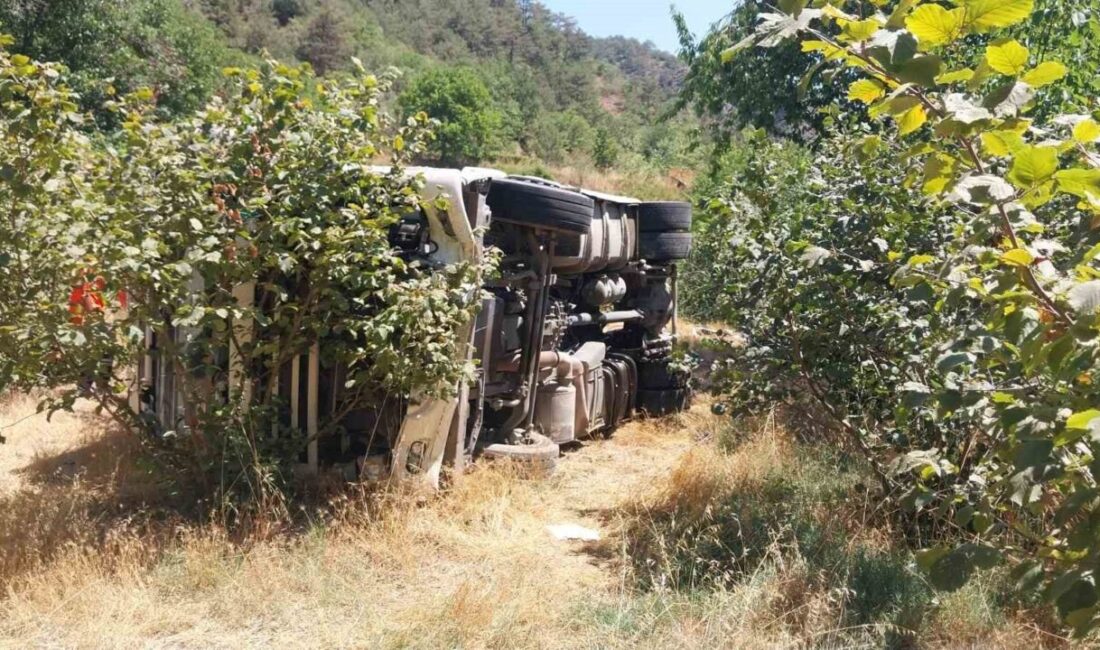 Bolu'nun Mudurnu ilçesinde bir tır, kontrolden çıkarak fındık bahçesine devrildi.