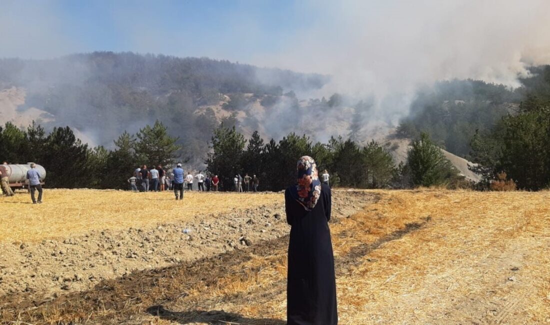 Bolu Mudurnu'da Göncek köyü Camiyanı Mahallesi'nde başlayan orman yangını, rüzgarın