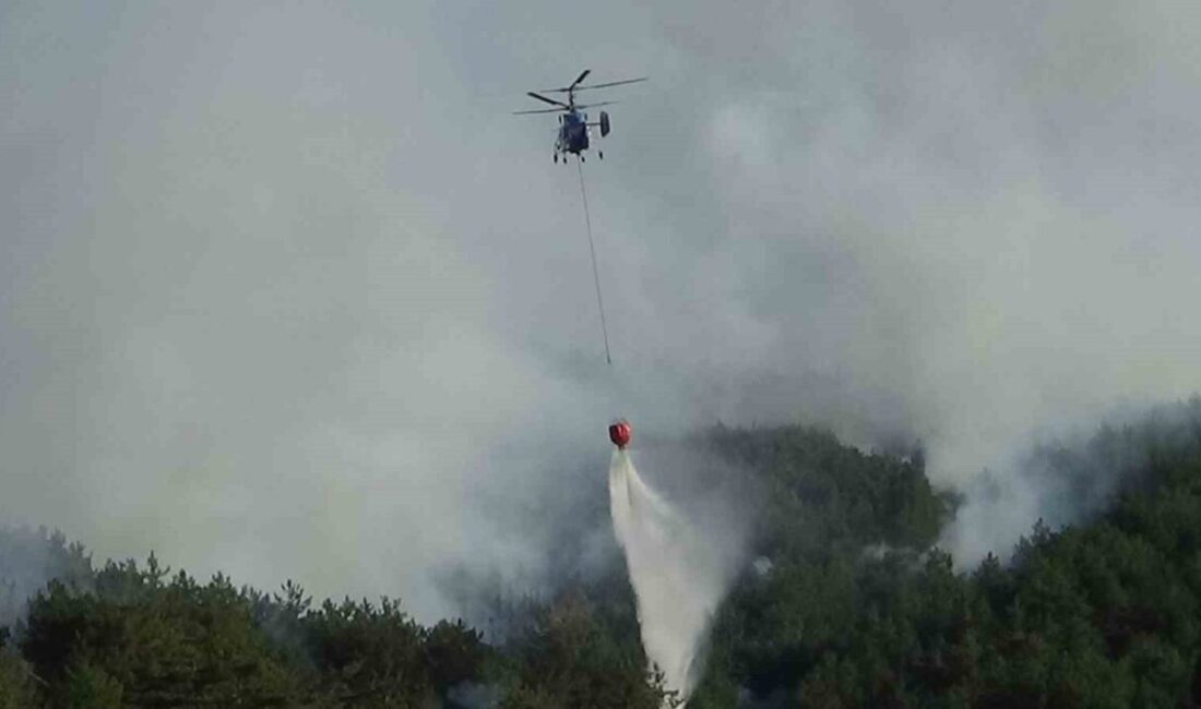 Mudurnu'da bir tarladan ormana yayılan yangın, biçerdöver kıvılcımları sebebiyle ortaya