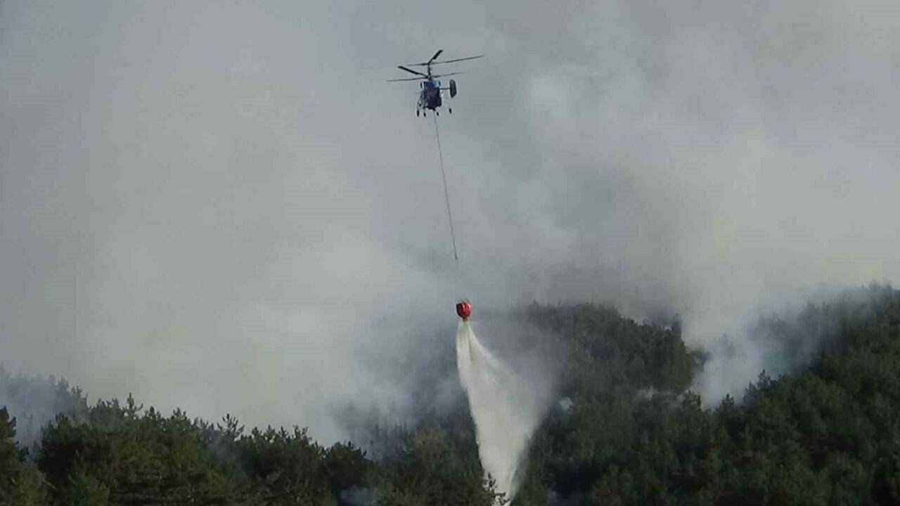Mudurnu'da bir tarladan ormana yayılan yangın, biçerdöver kıvılcımları sebebiyle ortaya
