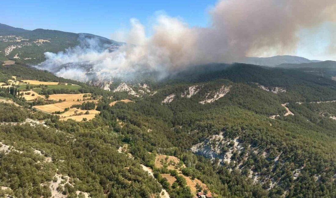 Bolu'nun Mudurnu ilçesinde çıkan yangına, Bolu Valiliği öncülüğünde çok sayıda
