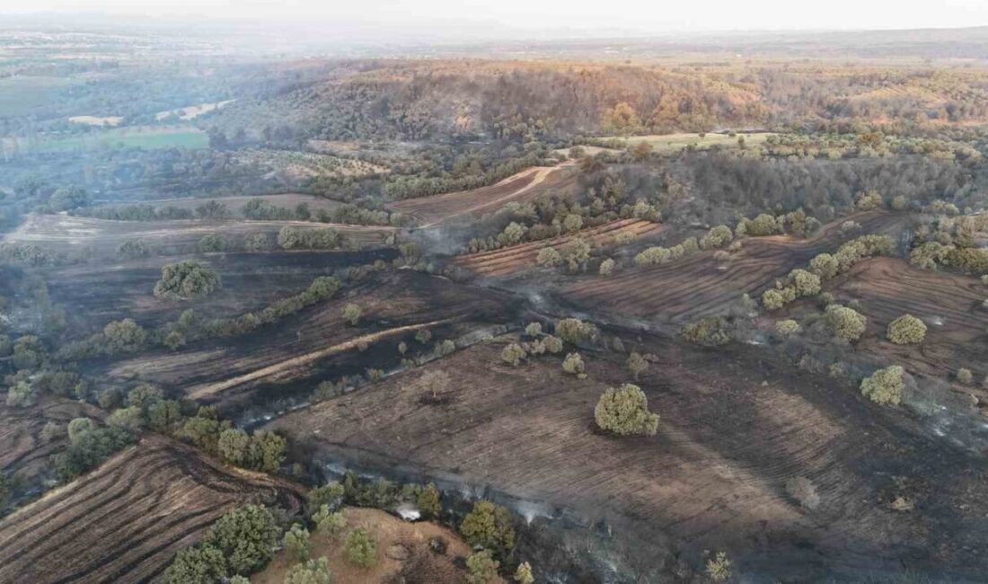 Çanakkale'nin Bayramiç ilçesindeki Saçaklı köyünde çıkan orman yangını, rüzgarın etkisiyle