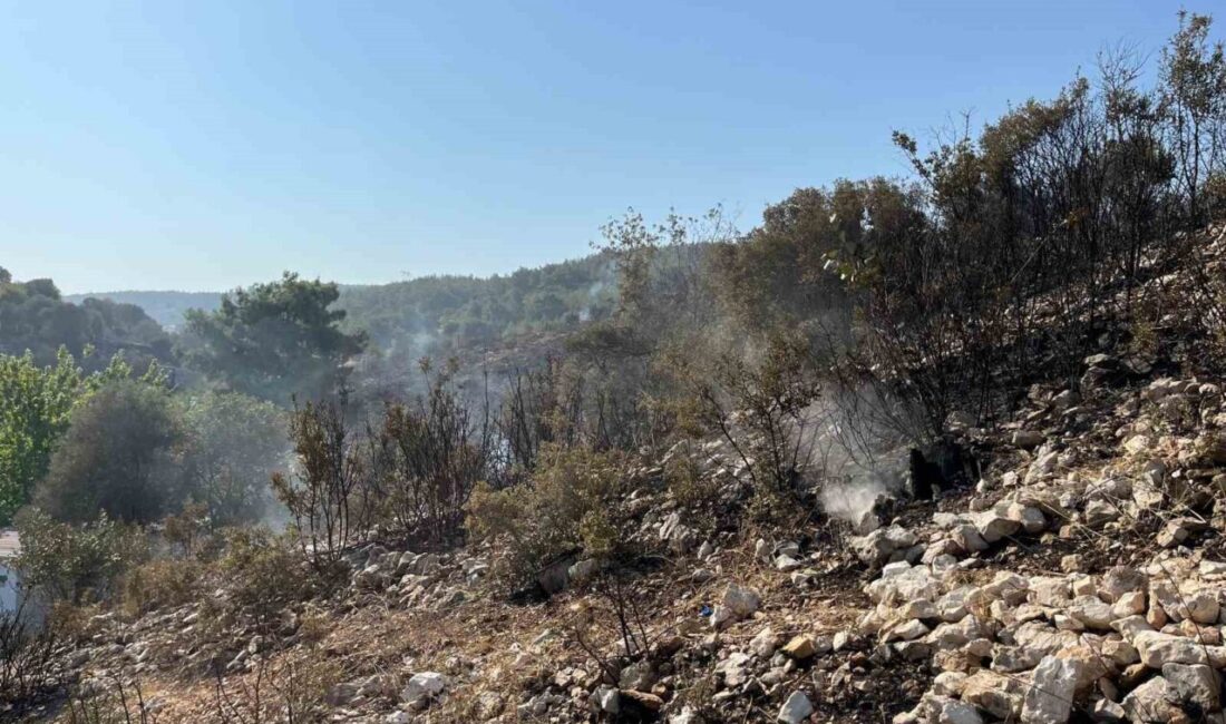 İzmir'de Buca ilçesinde başlayan orman yangını, bir aracın alev almasının