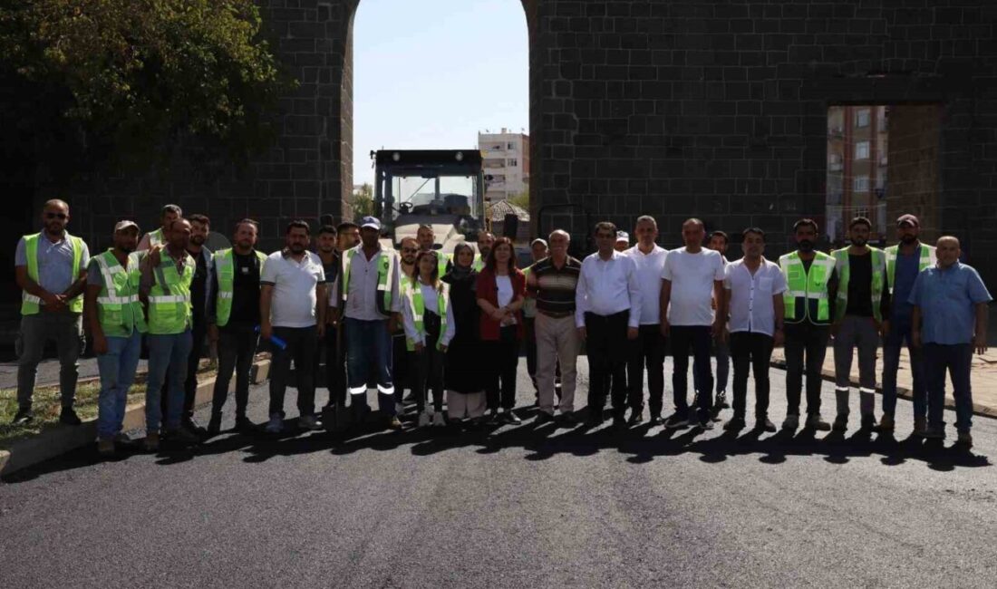 Diyarbakır Büyükşehir Belediye Başkanı Serra Bucak, Yenişehir'deki asfalt çalışmalarını ve
